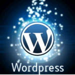 Website Support 2 Wordpress1-150x150